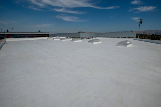 Best Rubber Roofing (EPDM, TPO)  in Gretna, FL