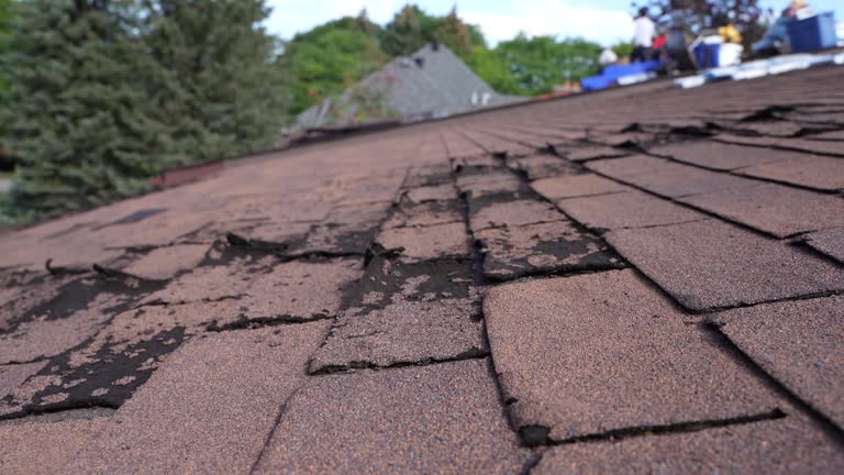 Best Roof Leak Repair  in Gretna, FL